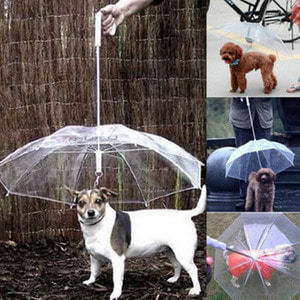 [회원전용]강아지 우산